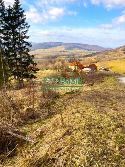 Pozemok pod lesom 1748 m2, Skliarovo