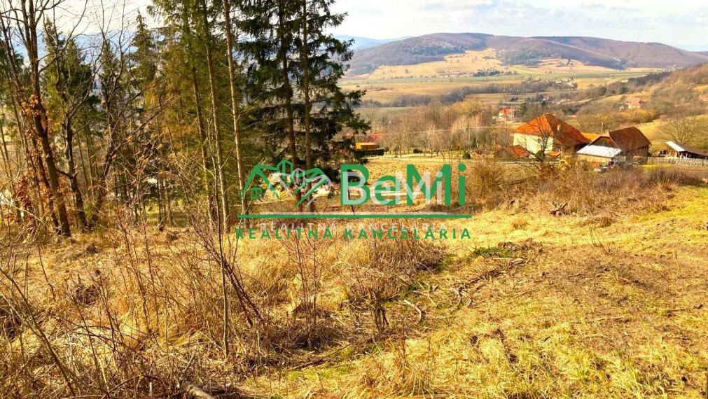 Pozemok pod lesom 1748 m2, Skliarovo