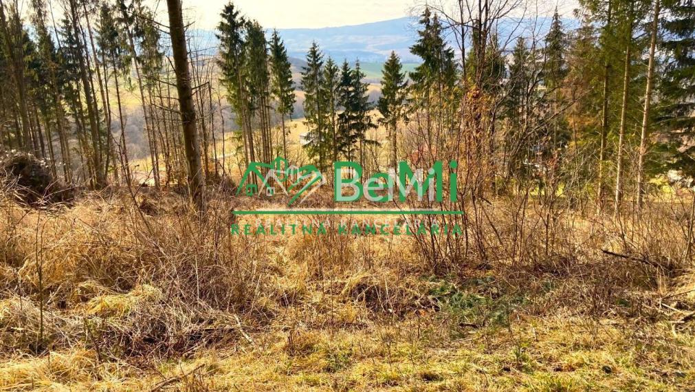 Pozemok pod lesom 1748 m2, Skliarovo