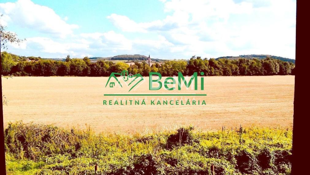 ‼️ Znížená cena‼️ Predaj viničného domu - Plášťovce  (038-13-HEKA)