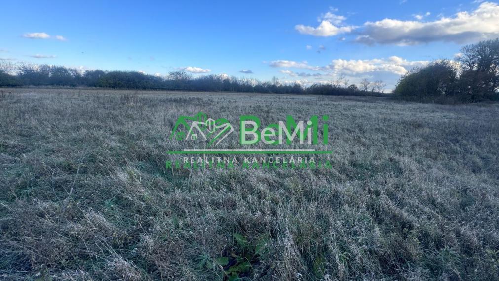 Stavebný developerský pozemok 10000 m2 - Ivanka pri Nitre