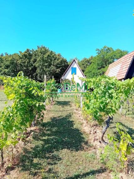 Predaj viničného domu s vinohradom - Čaka (042-12-HEKA)