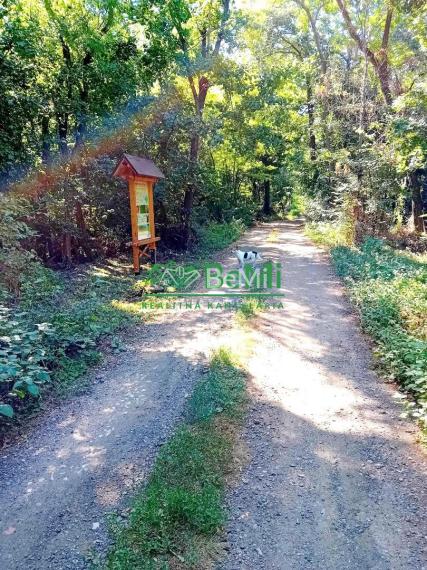 Predaj viničného domu s vinohradom - Čaka (042-12-HEKA)