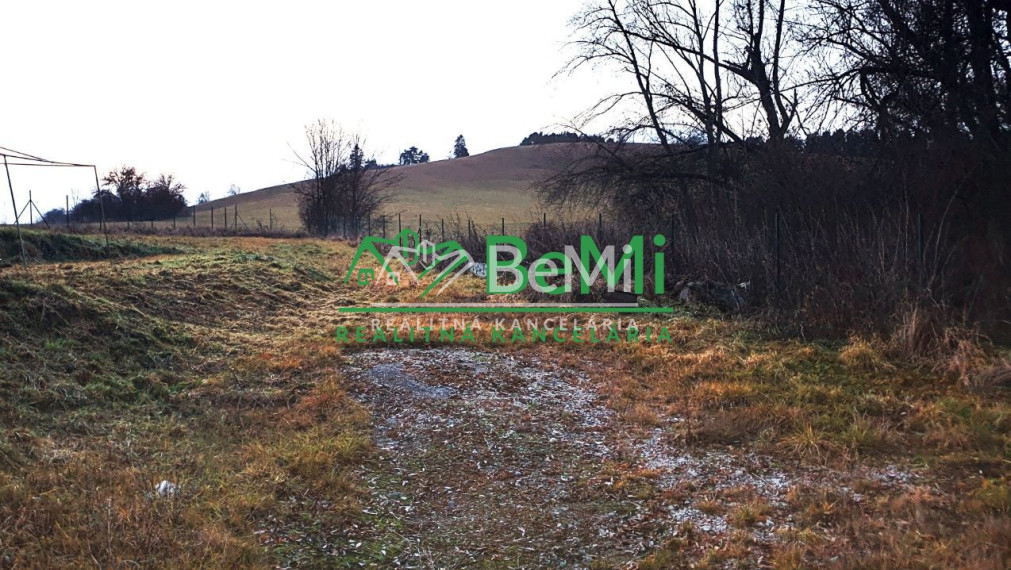 Pozemok v obci Liptovská Sielnica ID: 004-14-TECUa