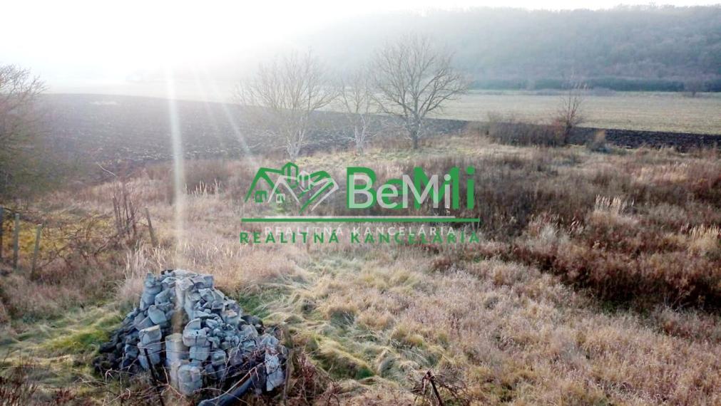 Predaj viacgeneračného rodinného domu - Dolné Semerovce  (044-12-HEKA)