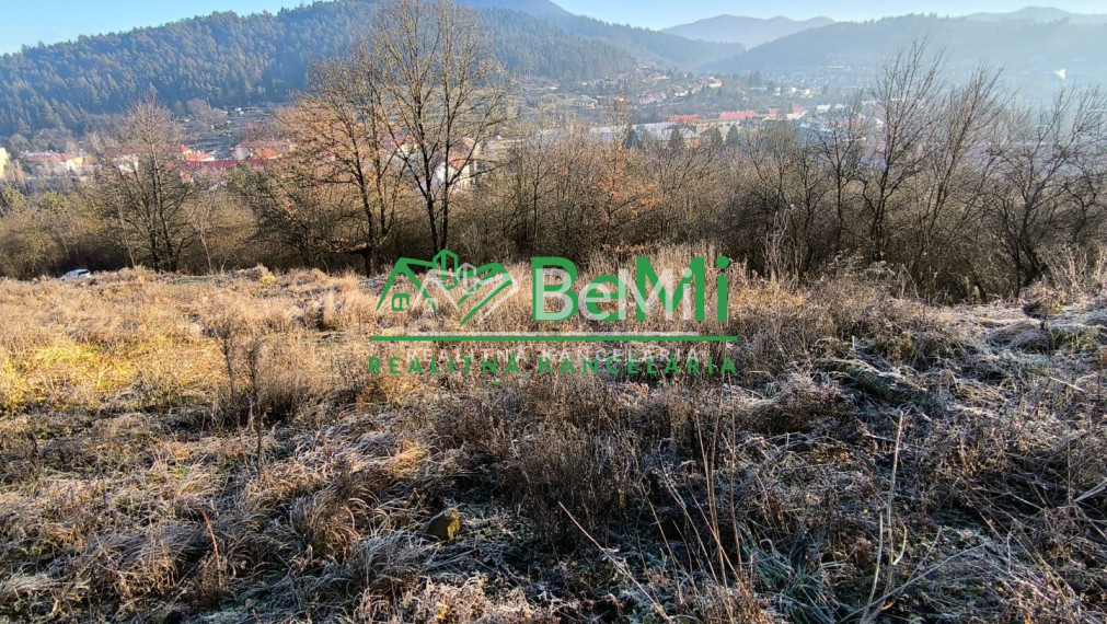 Pozemok Považská Bystrica, 3129m2   146-14-PEMOa