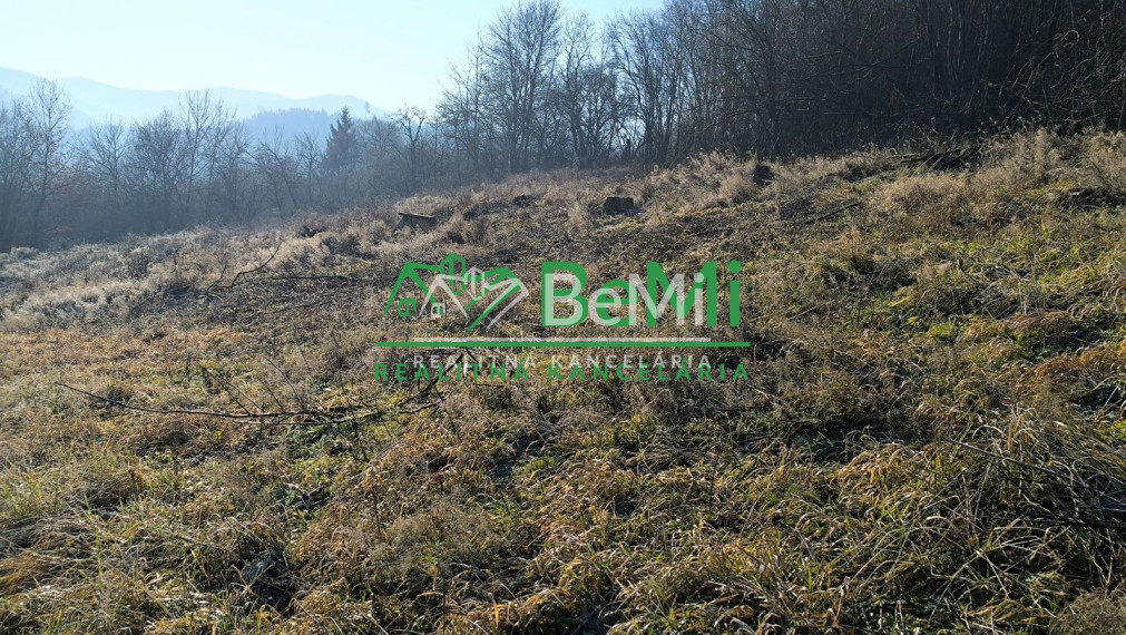 Pozemok Považská Bystrica, 3129m2   146-14-PEMOa