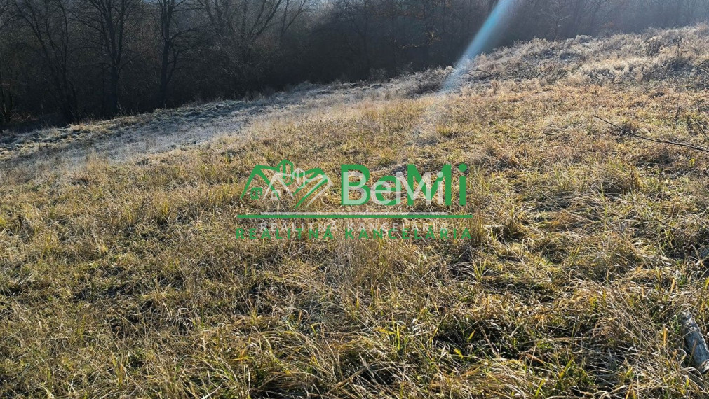 Pozemok Považská Bystrica, 3129m2   146-14-PEMOa