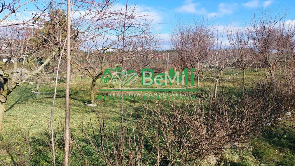 Exkluzívne na predaj vidiecky dom s veľkým pozemkom Jacovce