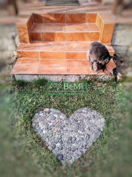 2 domy v Abaújvár s veľkým pozemkom