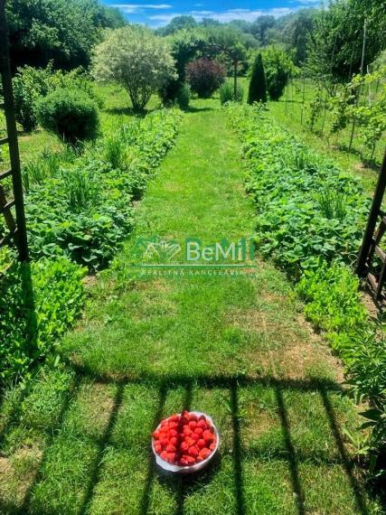 2 domy v Abaújvár s veľkým pozemkom