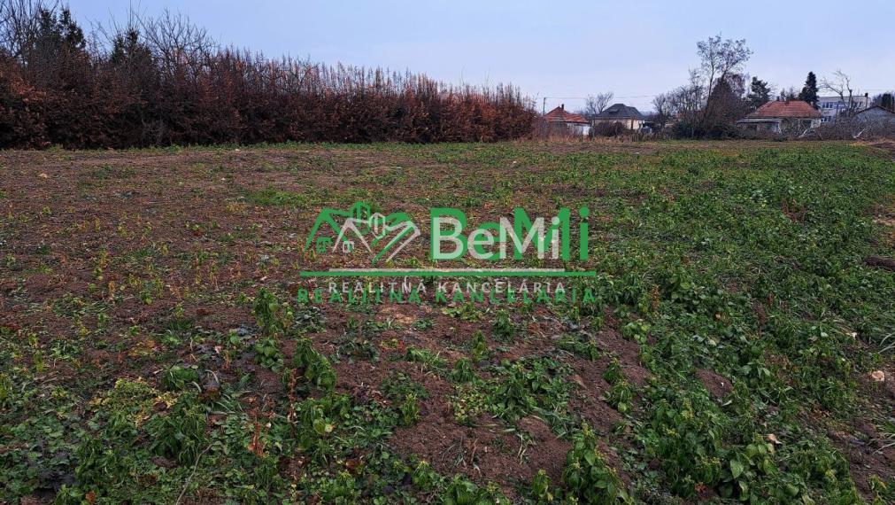 Predaj, stavebný pozemok -  Mojmírovce (008-14-JANS)