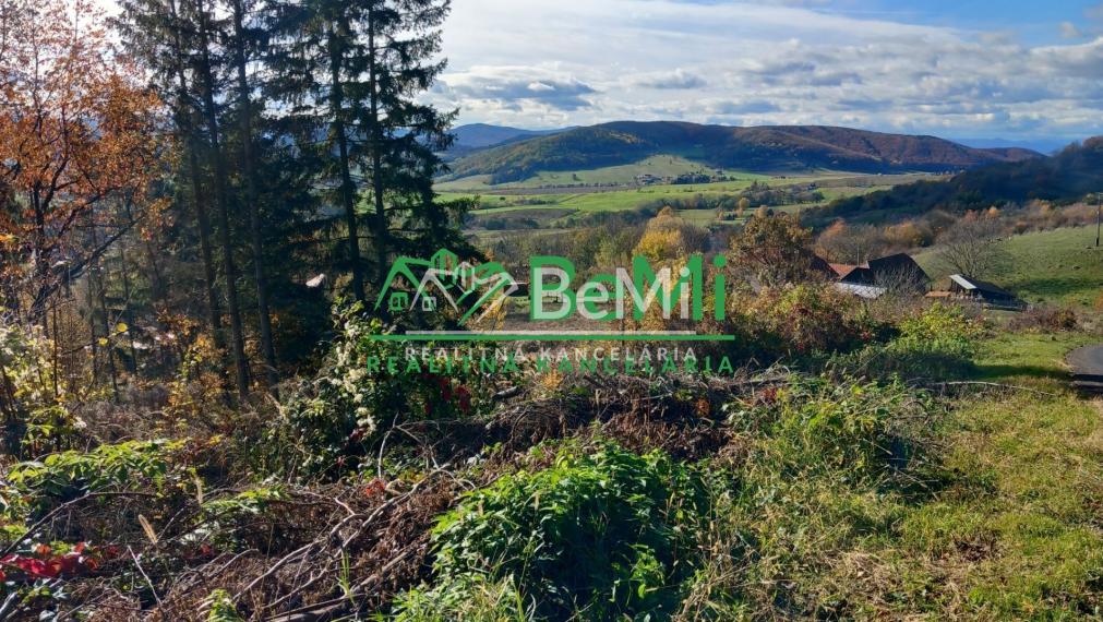 Pozemok pod lesom 1748 m2, Skliarovo