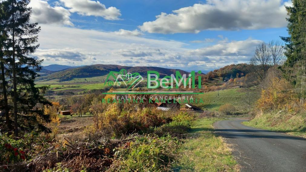 Pozemok pod lesom 1748 m2, Skliarovo