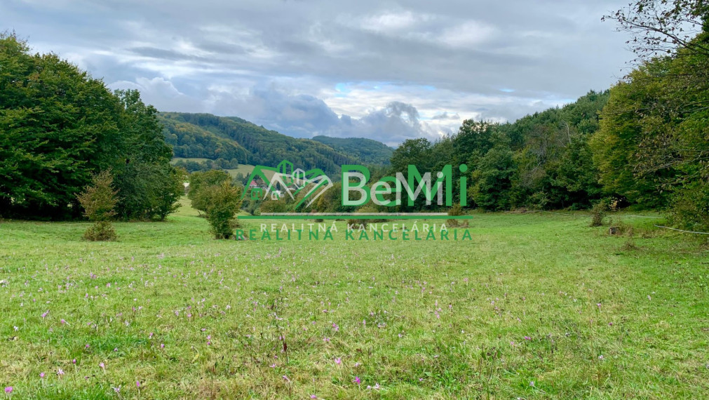 Pozemok pre mobilný dom 3970 m2, polosamota, Michalková