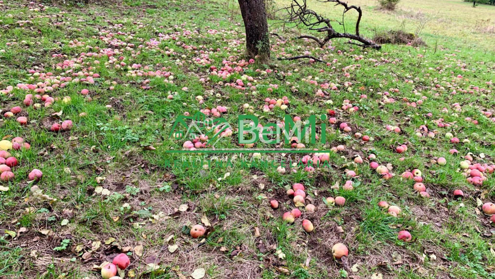 Pozemok pre mobilný dom 3970 m2, polosamota, Michalková