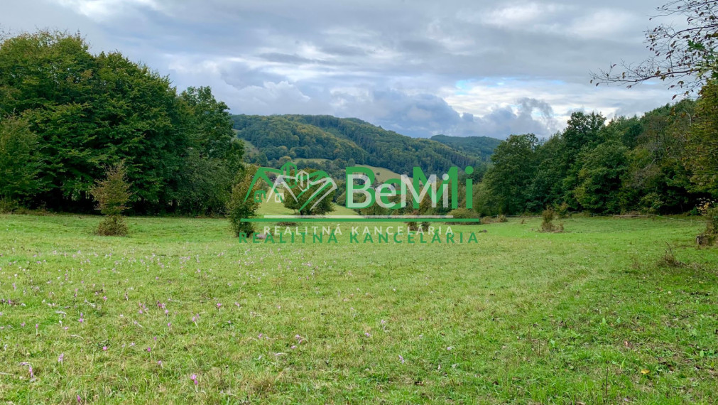 Pozemok pre mobilný dom 3970 m2, polosamota, Michalková