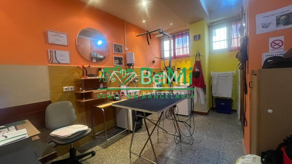 Odstúpenie - salónik - strihanie psíkov Sásová,Banská Bystrica