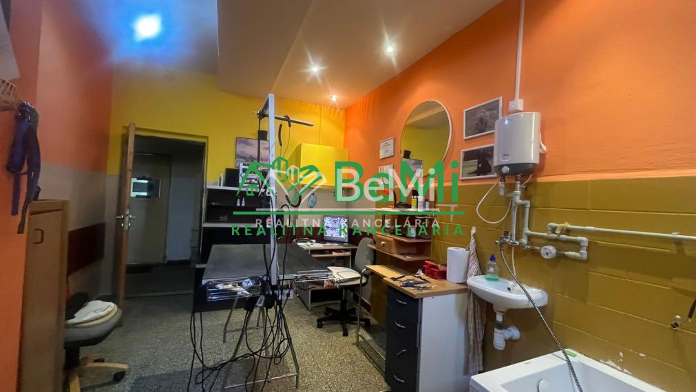 Odstúpenie - salónik - strihanie psíkov Sásová,Banská Bystrica