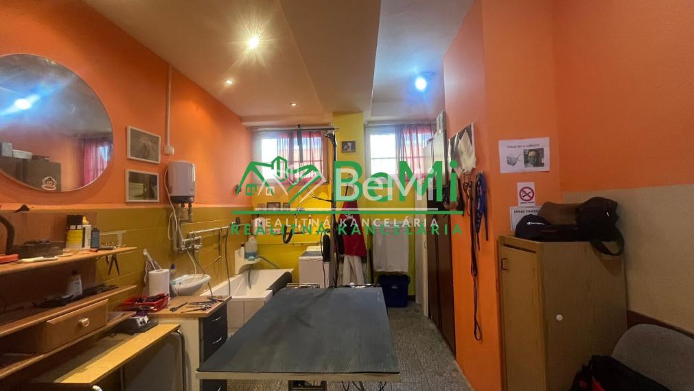 Odstúpenie - salónik - strihanie psíkov Sásová,Banská Bystrica