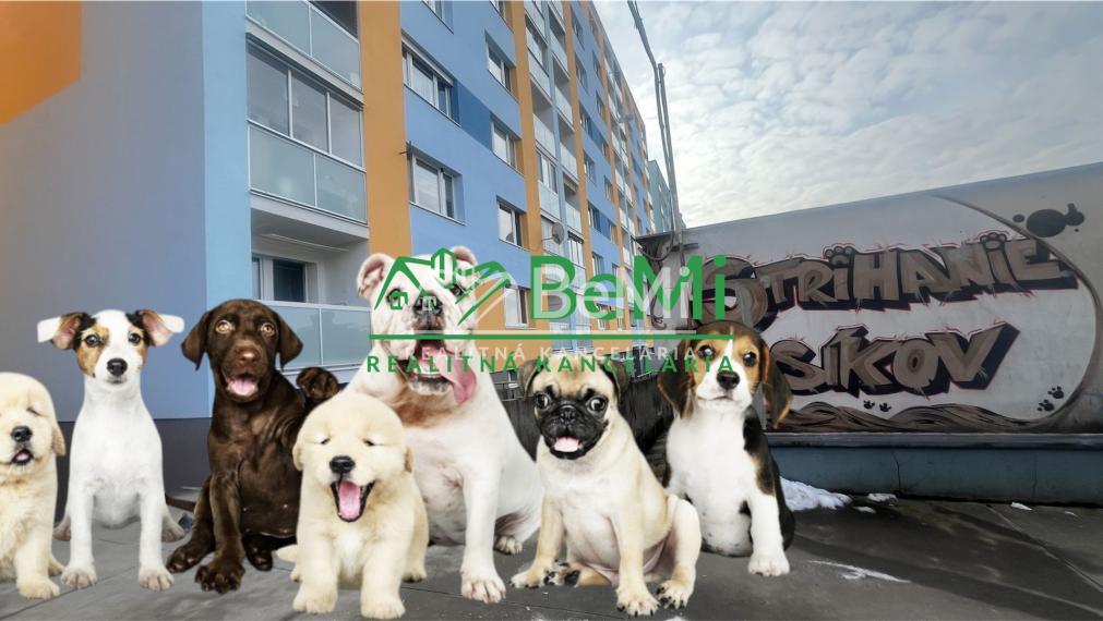 Odstúpenie - salónik - strihanie psíkov Sásová,Banská Bystrica