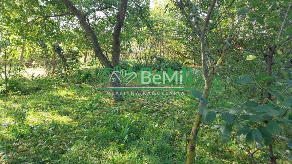 Rodinný dom - Zbehy (010-12-JANS)