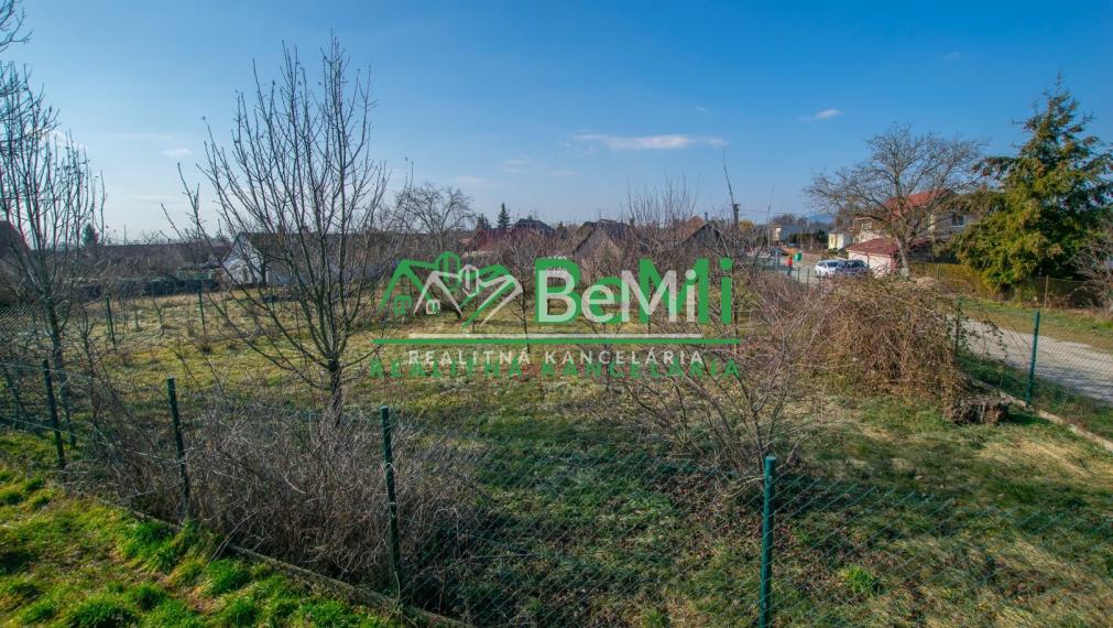 Exkluzívne na predaj vidiecky dom s veľkým pozemkom Jacovce