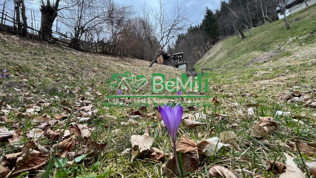 Záhrada s chatkou, 2202 m2, Špania Dolina