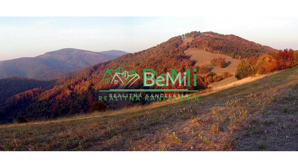 Predaj krásnej rekreačnej chaty priamo na lyžiarskom svahu – Bezovec, Nová Lehota 010-13-MIKUa