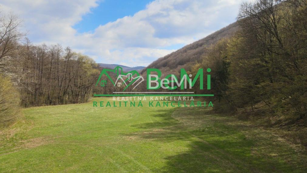 Na predaj lukratívny pozemok na chov rýb - Horná Ves