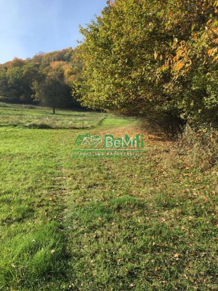 Pozemok nad rybníkom, 2965m2, Žarnovica