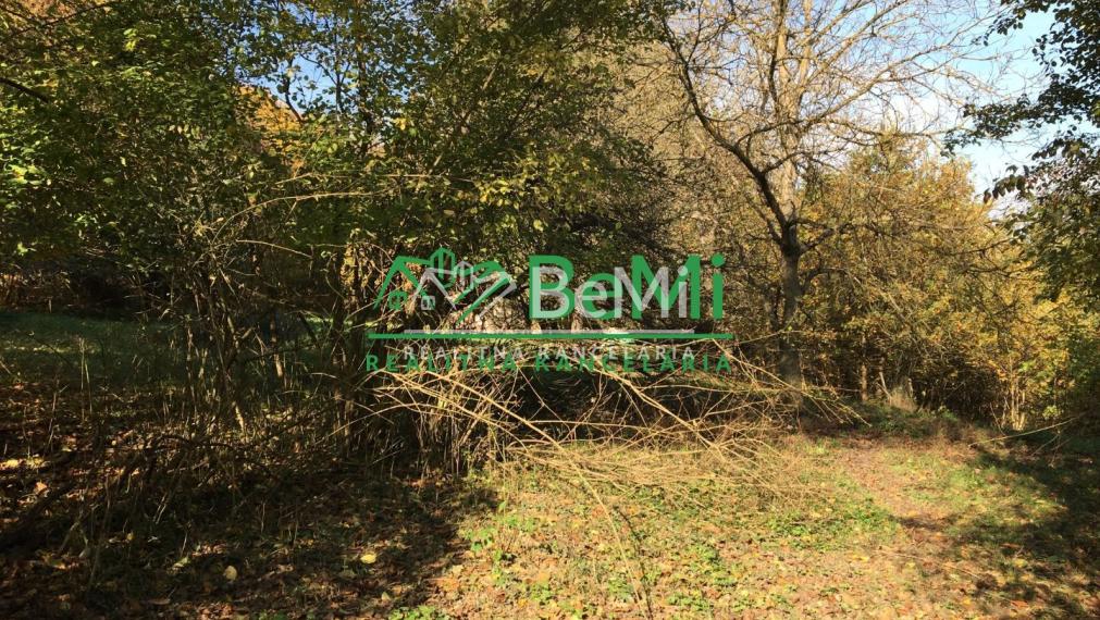 Pozemok nad rybníkom, 2965m2, Žarnovica