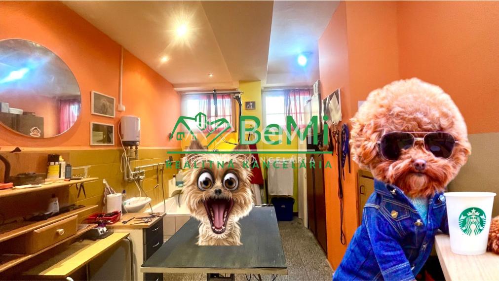 Odstúpenie - salónik - strihanie psíkov Sásová,Banská Bystrica