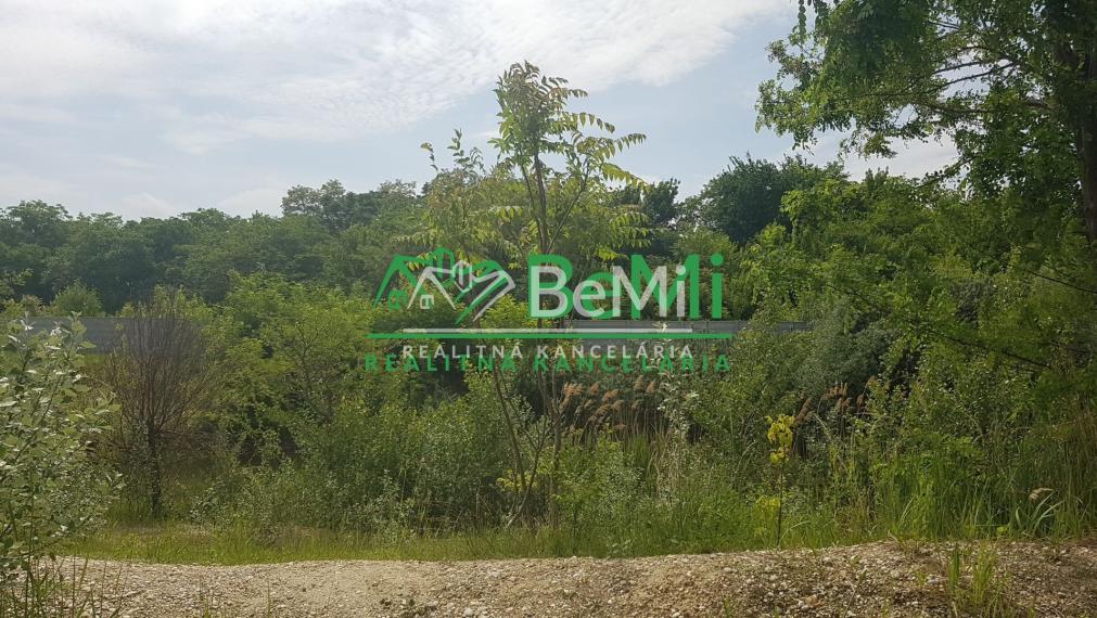 POZEMOK s jazerom...4093m2...Veľké Úľany (168-14-DARE)