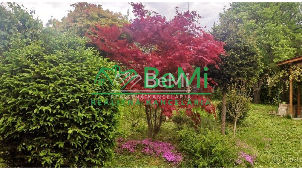 Záhrada za Panorámou, Košice