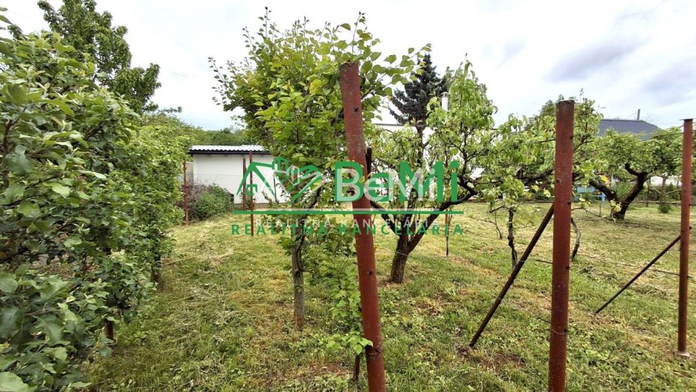 Predaj, záhrada s chatkou - Levice (001-14-LUDUa)