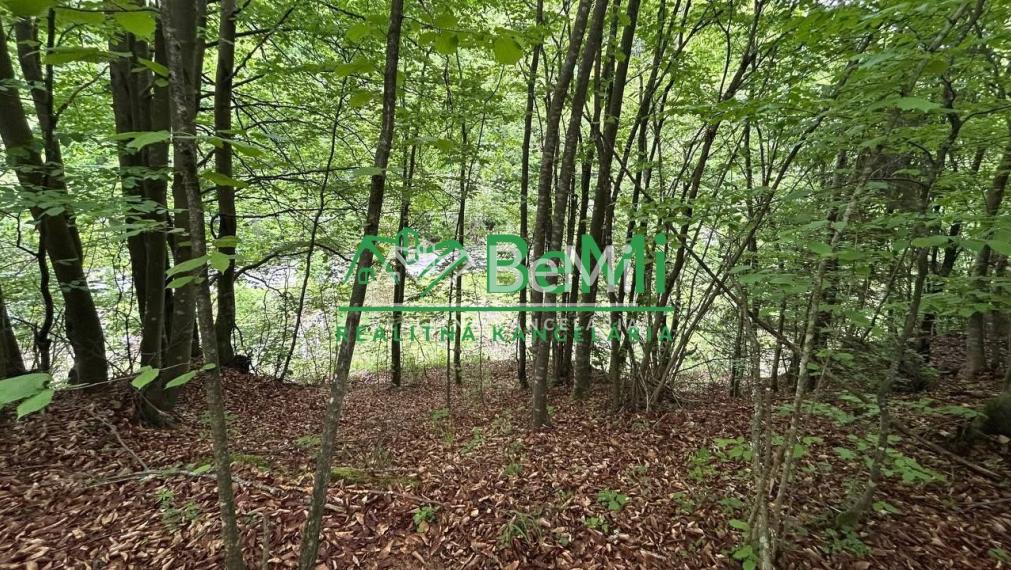 Pozemok Tajov – pokojné miesto pri potoku