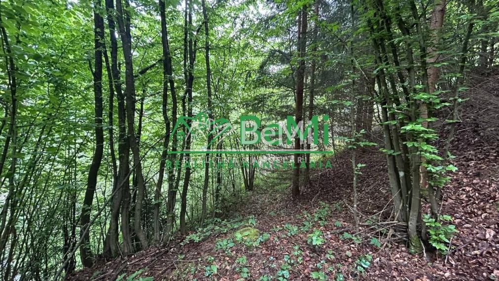 Pozemok Tajov – pokojné miesto pri potoku