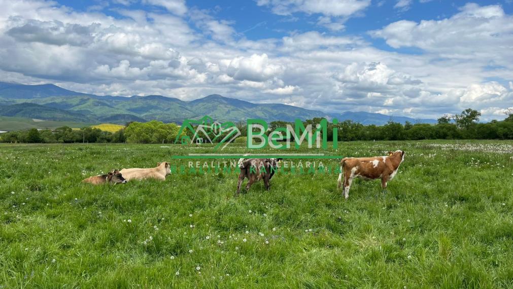 Pozemky Brezno-Podkoreňová s perspektívou a krásnym výhľadom