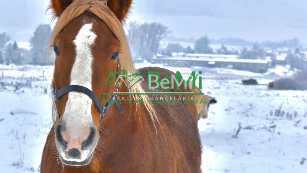 Pozemky Brezno-Podkoreňová s perspektívou a krásnym výhľadom