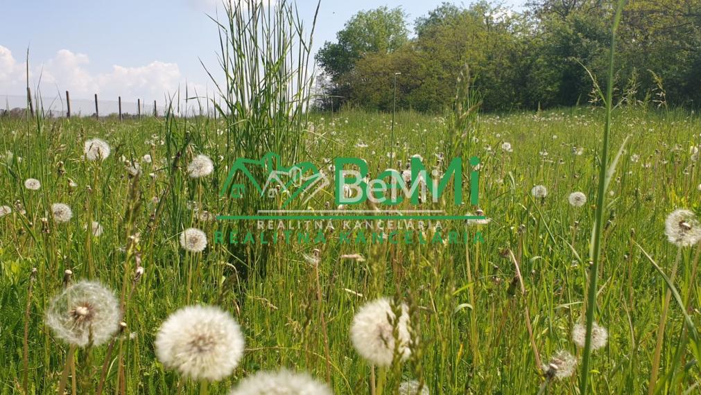 POZEMOK pre váš dom...KOŠÚTY...1885m2 (167-14-DAR)