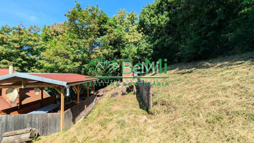 Predaj, rekreačná chata - Žitavany (1213-13-AFI)