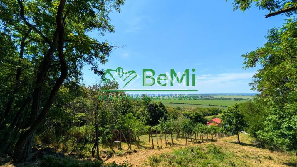 Predaj, rekreačná chata - Žitavany (1213-13-AFI)