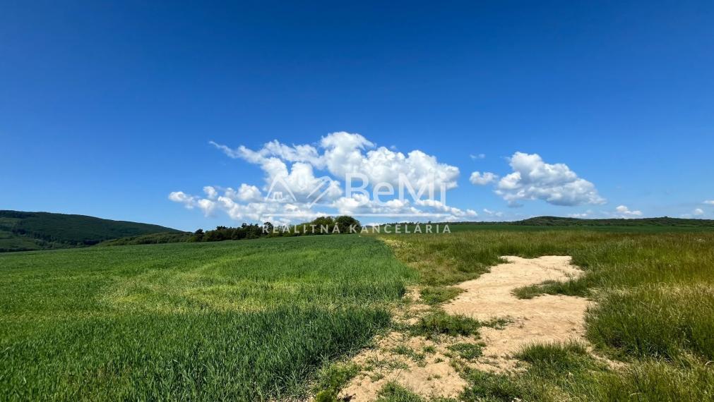 Rovinaté pozemky Sása, Zvolen