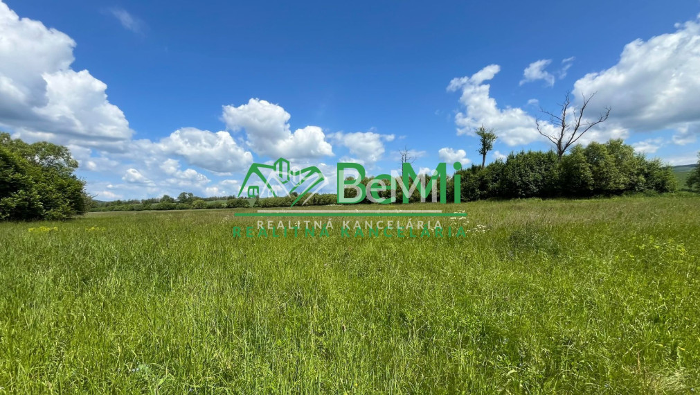 Pozemok 2836 m2, Sása, pod rybníkom, okres Zvolen