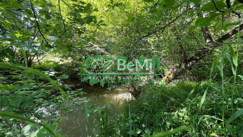 Pozemok 2836 m2, Sása, pod rybníkom, okres Zvolen