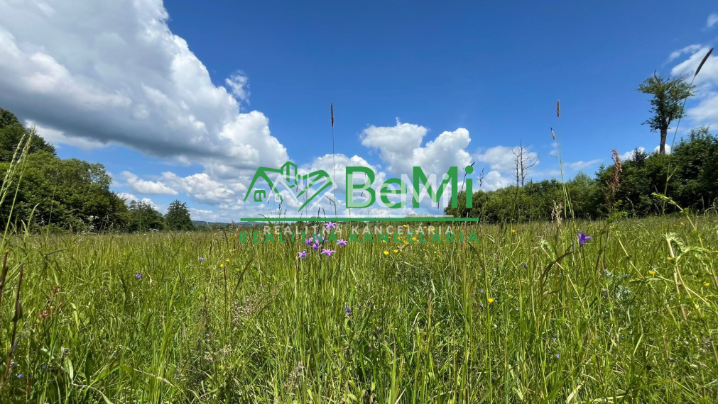 Pozemok 2836 m2, Sása, pod rybníkom, okres Zvolen