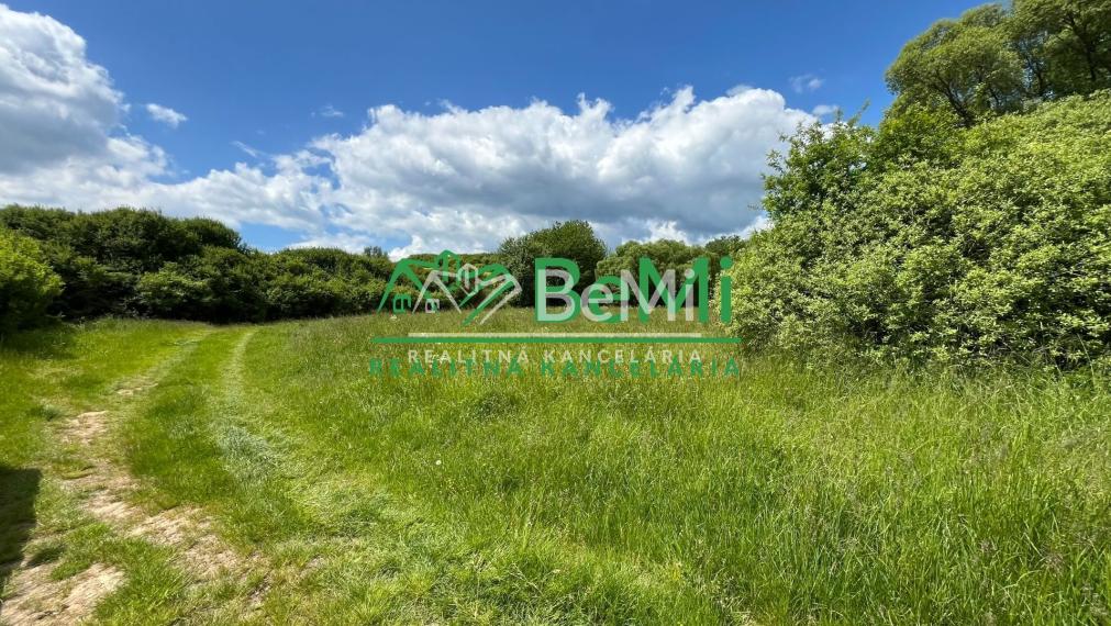 Pozemky 2536m2, 5974m2 Pliešovce, Zvolen