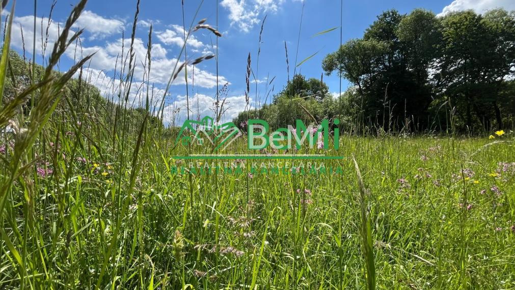 Pozemky 2536m2, 5974m2 Pliešovce, Zvolen