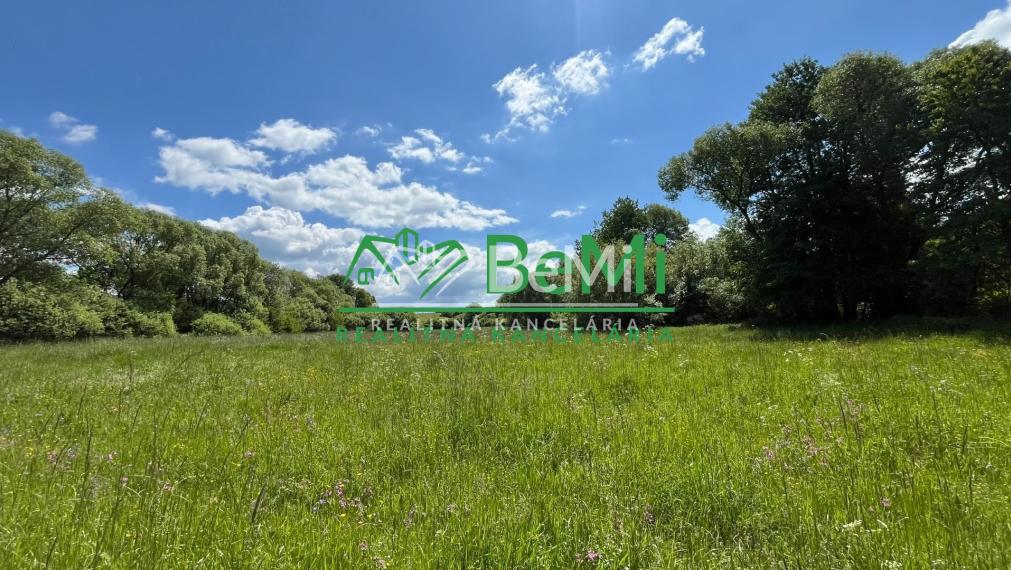 Pozemky 2536m2, 5974m2 Pliešovce, Zvolen